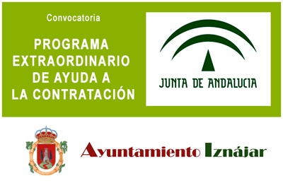 Programa Extraordinario de Ayuda a la Contratación de Andalucía 1