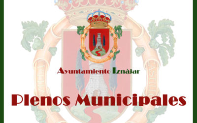 Plenos Municipales en Internet