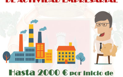 Ayudas para la creación de empresas