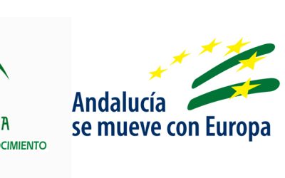 PROGRAMA DE INICIATIVA DE COOPERACIÓN LOCAL, EN EL MARCO DEL PROGRAMA DE FOMENTO DE EMPLEO INDUSTRIAL Y MEDIDAS DE INSERCION LABORAL EN ANDALUCÍA