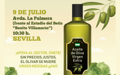 Protesta por los bajos precios del aceite de oliva en origen