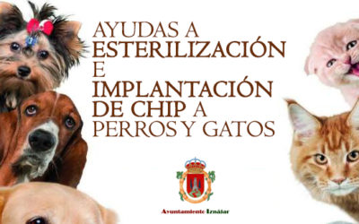 Ayudas para la esterilización y la implantación de chips en perros y gatos