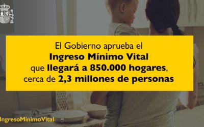 Ingreso Mínimo Vital