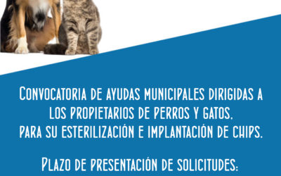Ayudas municipales para la esterilización e implantación de chips en perros y gatos 2022