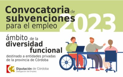 Convocatoria de subvenciones a entidades privadas «Diversidad funcional 2023»