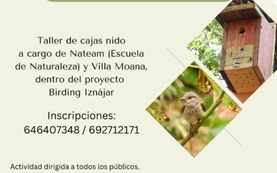 Taller de cajas nido – 21 y 22 de septiembre